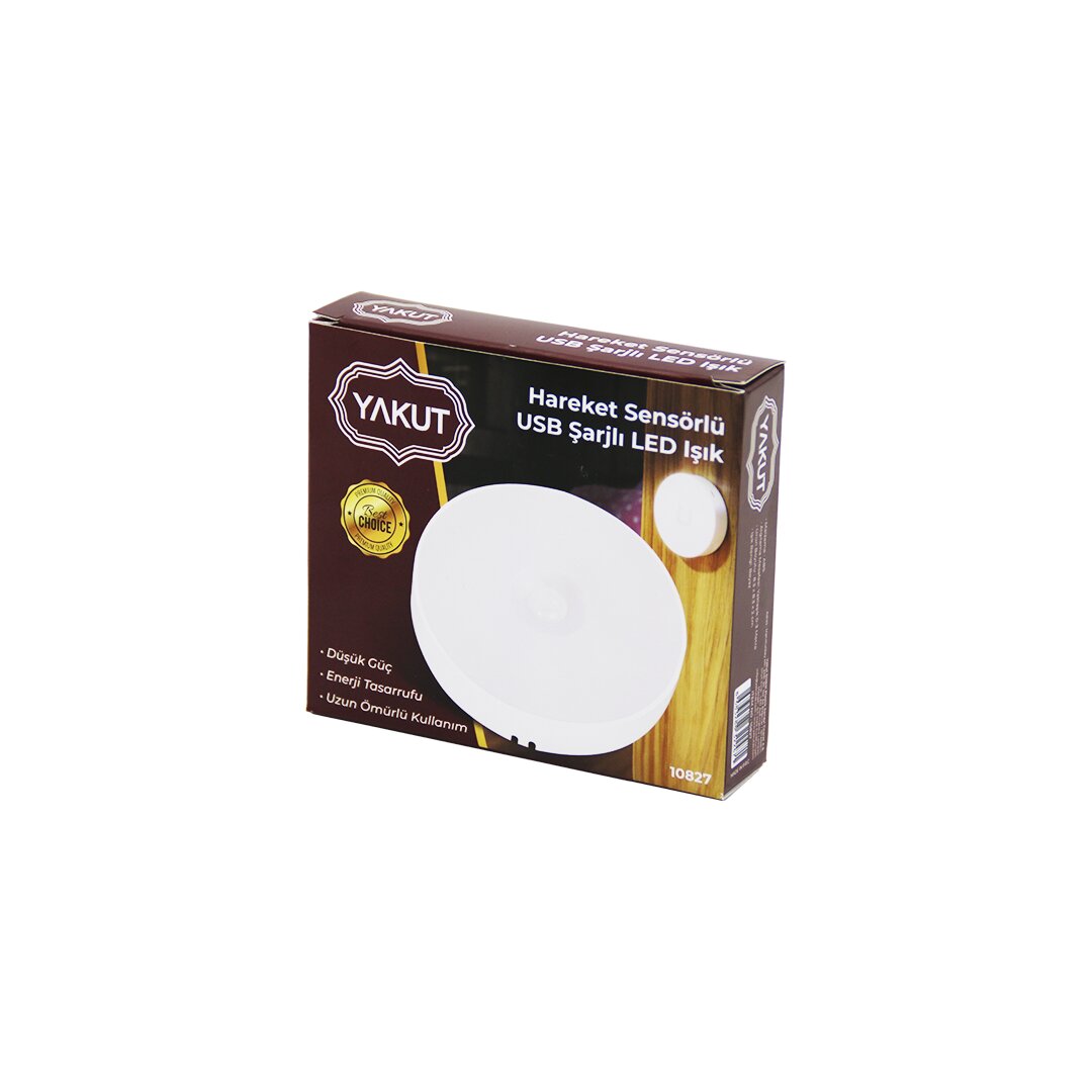 Sensor-USB-Weiße LED Rundleuchte Ø8,3cm H2cm - Reichweite 0-3m (5563)