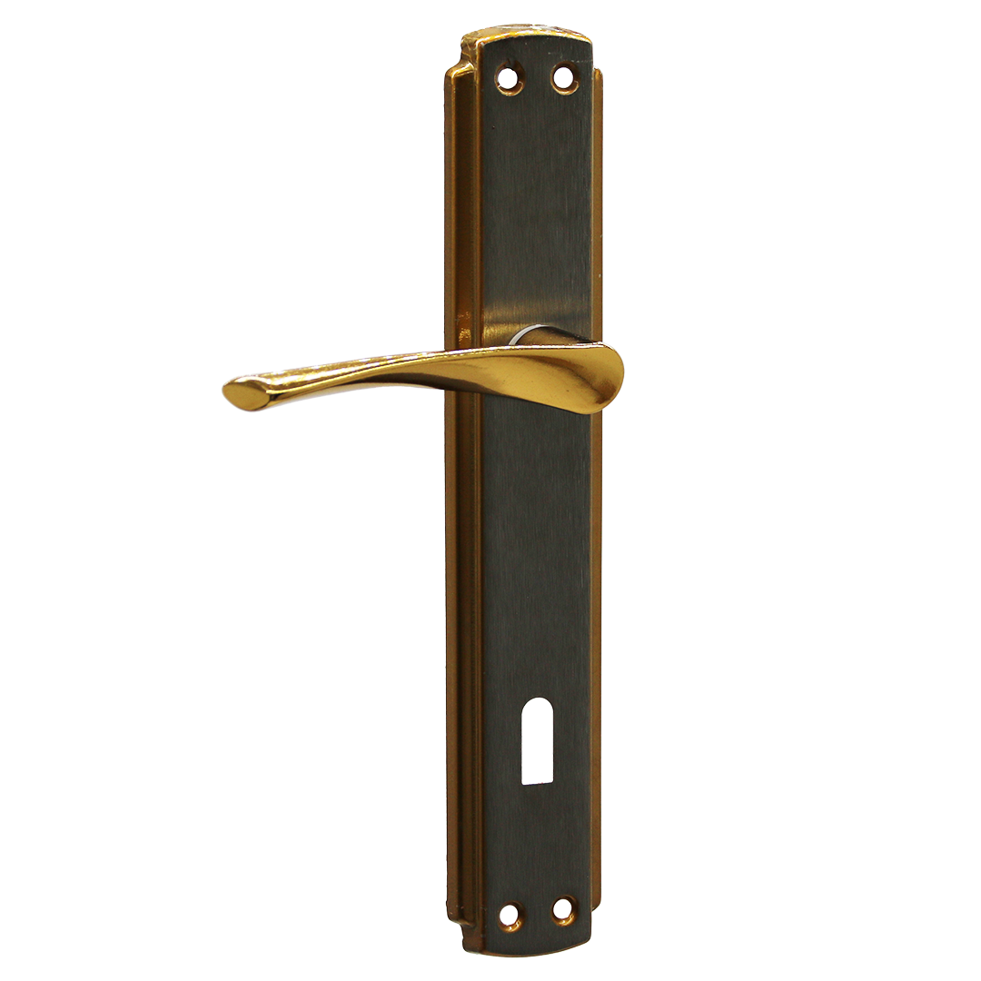 BRAVO Zimmergriff ALBRIFIN Gold Türgriff Set (5563)