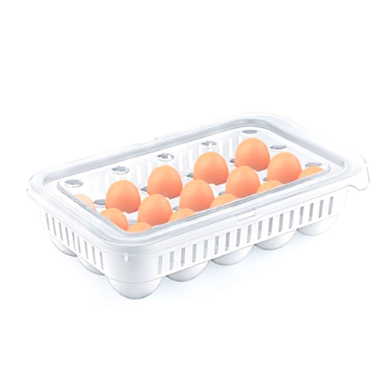 15-Egg Storage Container (5563)