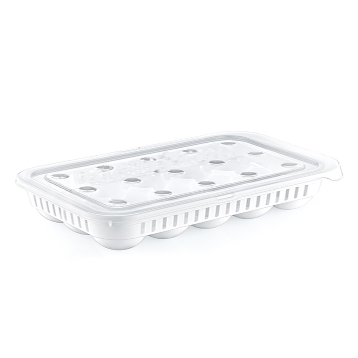 Eieraufbewahrungsbehälter für 15 Eier (5563) #4