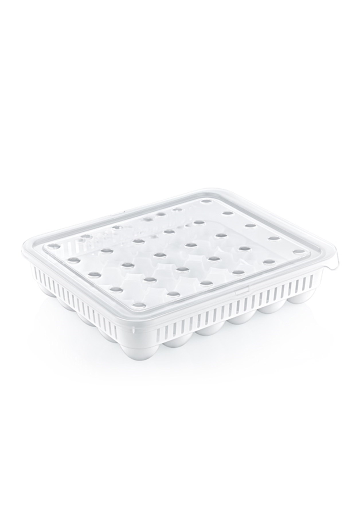 30-Egg Storage Container (5563)