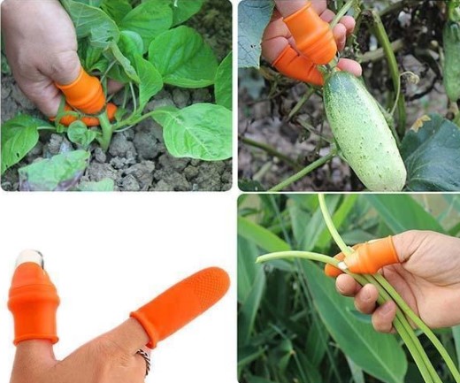 Pratik Baş Parmak Sebze Kesme Ayıklayıcı Erkek L Set (5563) #5