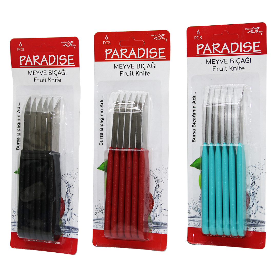6-Piece Fruit Knife Set with Colorful Plastic Handles (5563)