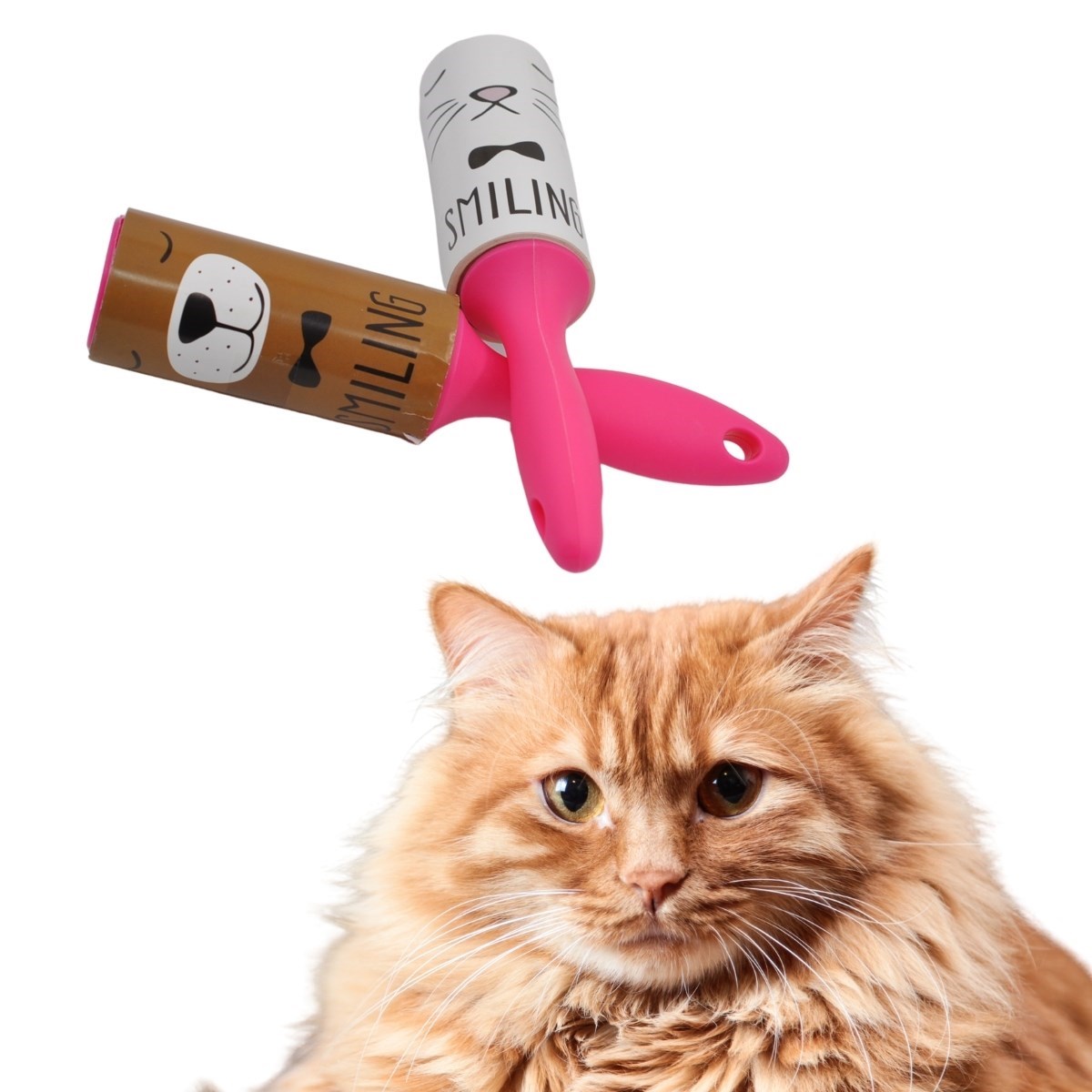 Practical Pet Hair Removal & Cleaning Roller Brush (5563)