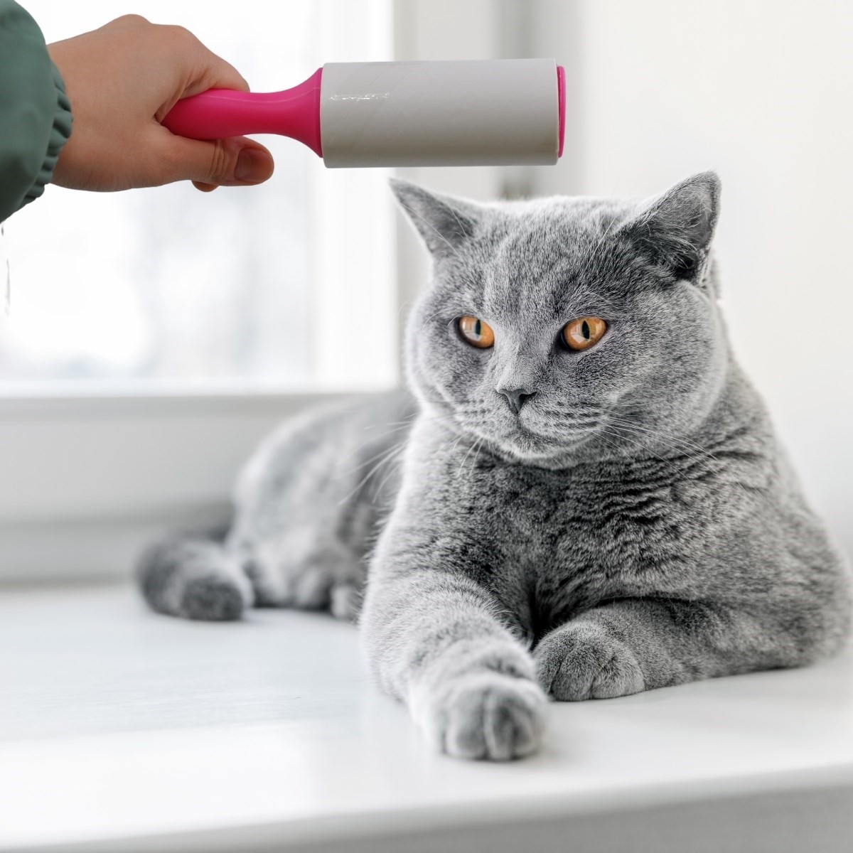 Practical Pet Hair Removal & Cleaning Roller Brush (5563) #4