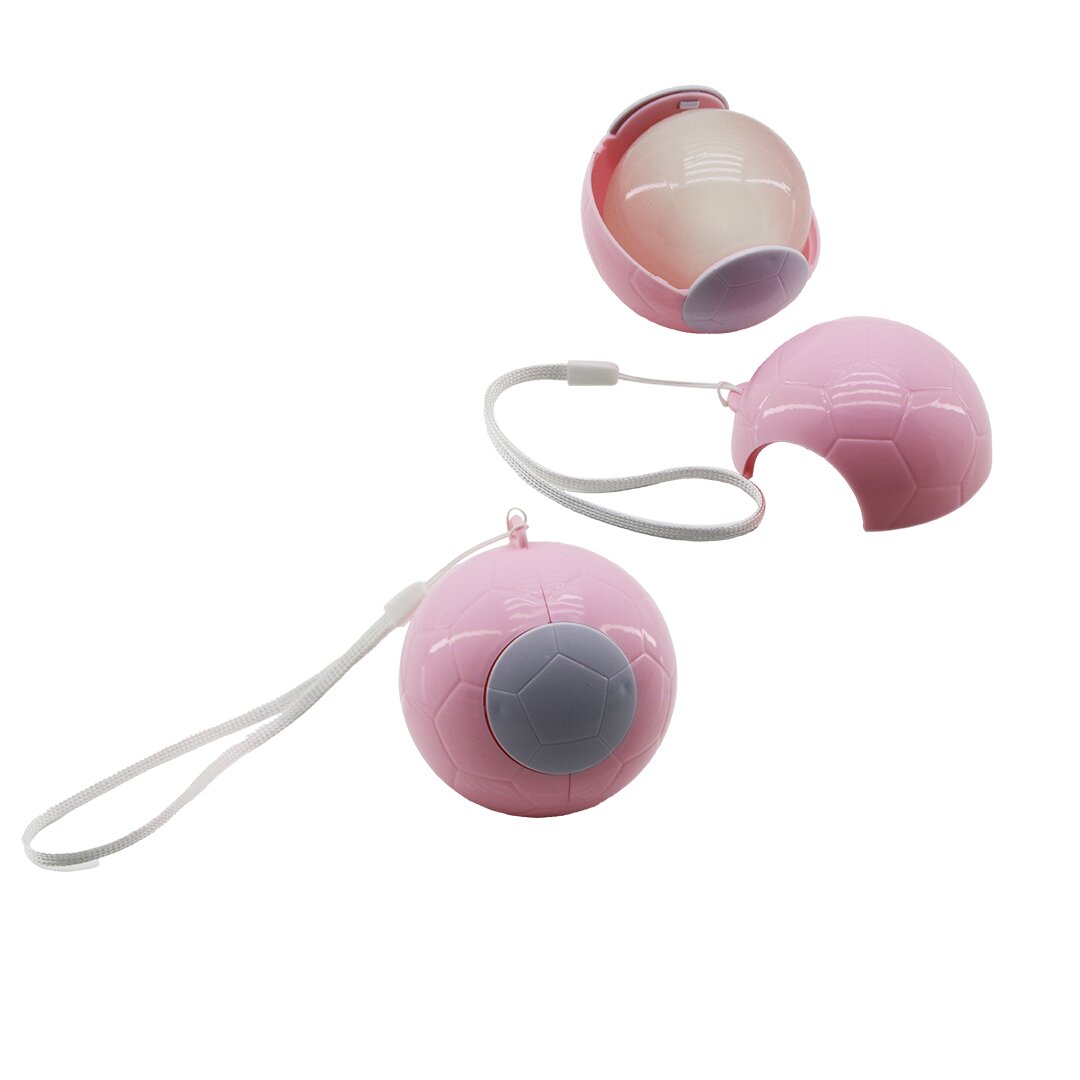 Sticky Hair Roller Ball Model Colored Plastic with Carrying