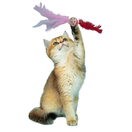 Fluffy Tassel Cat Toy Colorful Cute Pet Toy (5563) #2