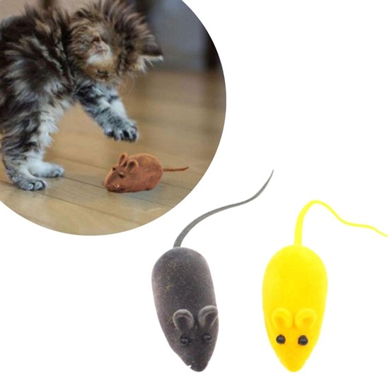 2-Pack Pet Training Interactive Elastic Cat Mouse Catching T