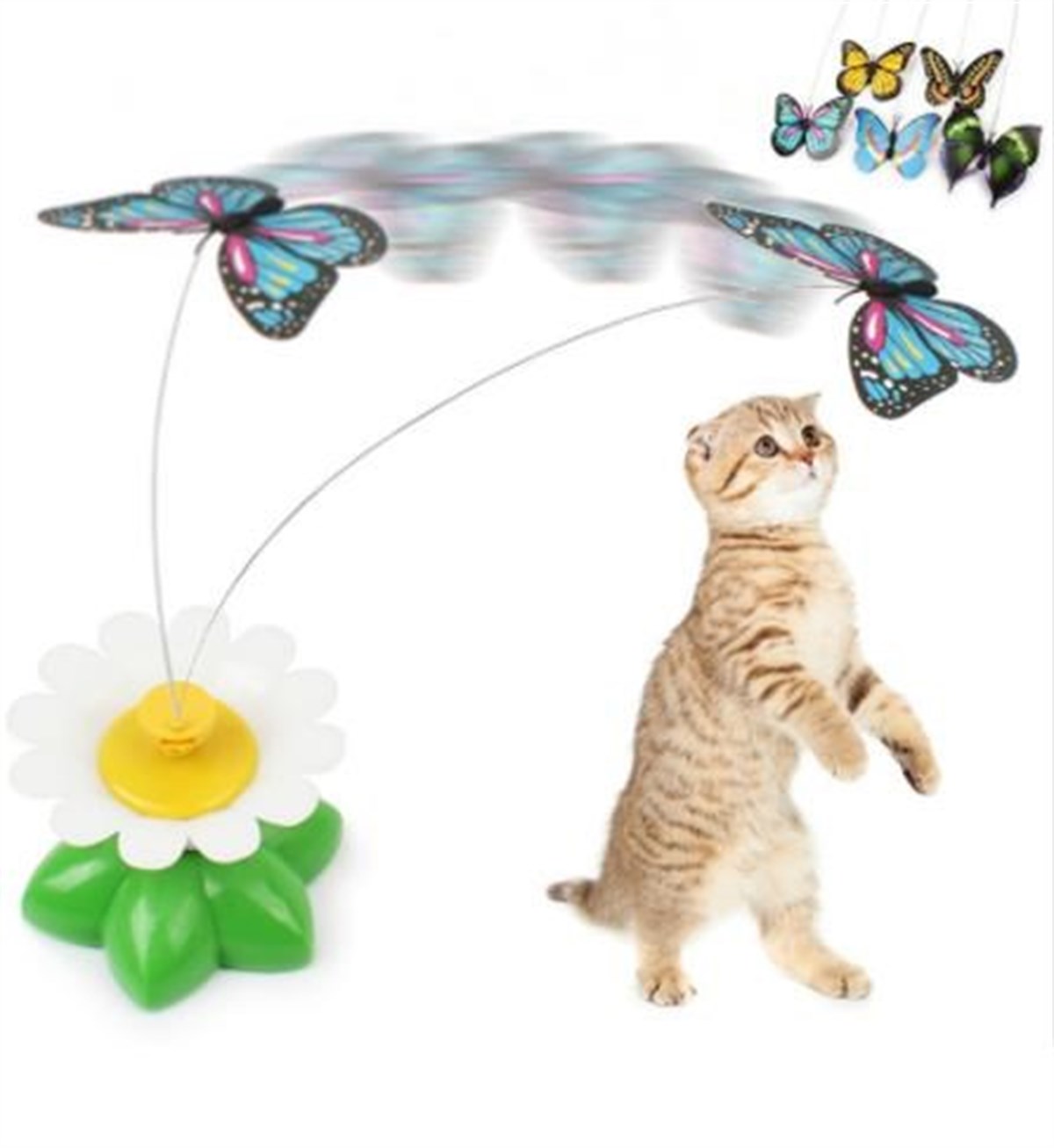 Interactive Spinning Butterfly Cat Toy - Battery Operated (5