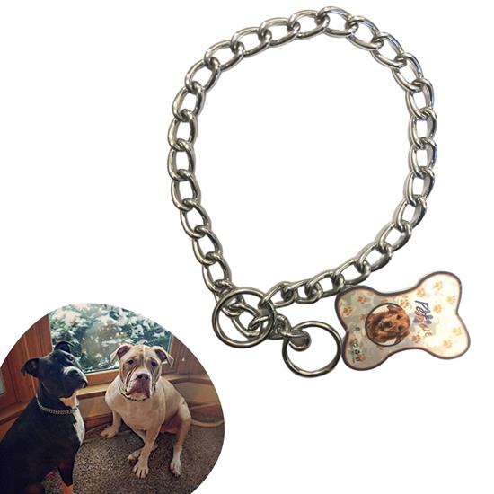 65 cm Uzunlukta Zincir Model Köpek İçin Boyun Tasması (5563)