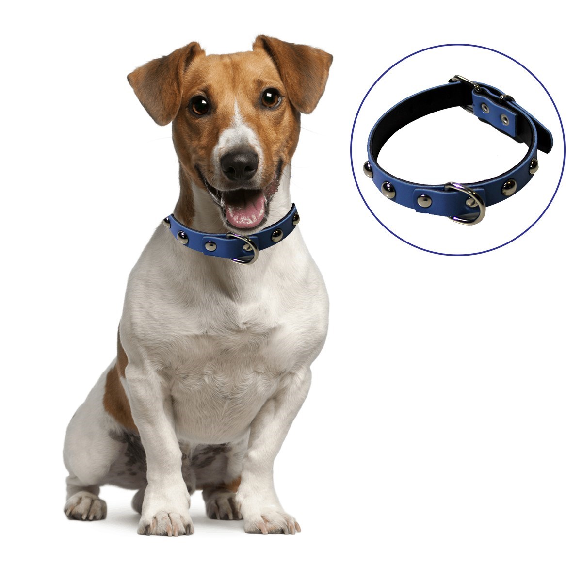 Yumuşak Dokulu Deri Köpek Gezdirme Boyun Tasması (Large) (55