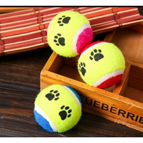 At Getir Köpek Eğitim Topu (5563)