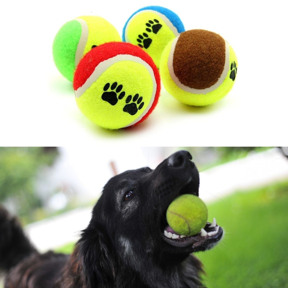 3&amp;apos;lü Renkli Desenli Tenis Topu Kedi Köpek Oyuncağı (5563) #3