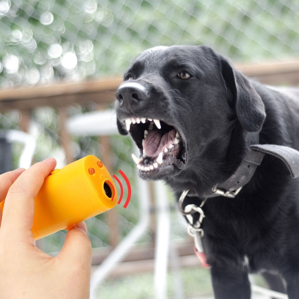 Ultrasonik Köpeksavar Köpek Kovucu Köpek Kornası Eğitim Cihazı (5563) #2