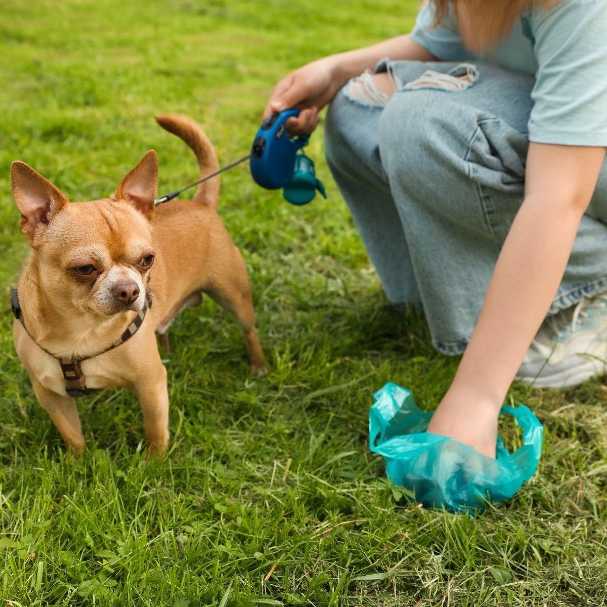 10er Pack Haustier Kot-Beutel zum Wegwerfen (5563) #3