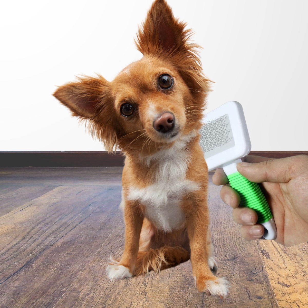 Kedi Köpek Telli Küçük Boy Tüy Bakım Seti Evcil Hayvan Tarama Fırçası (5563) #5