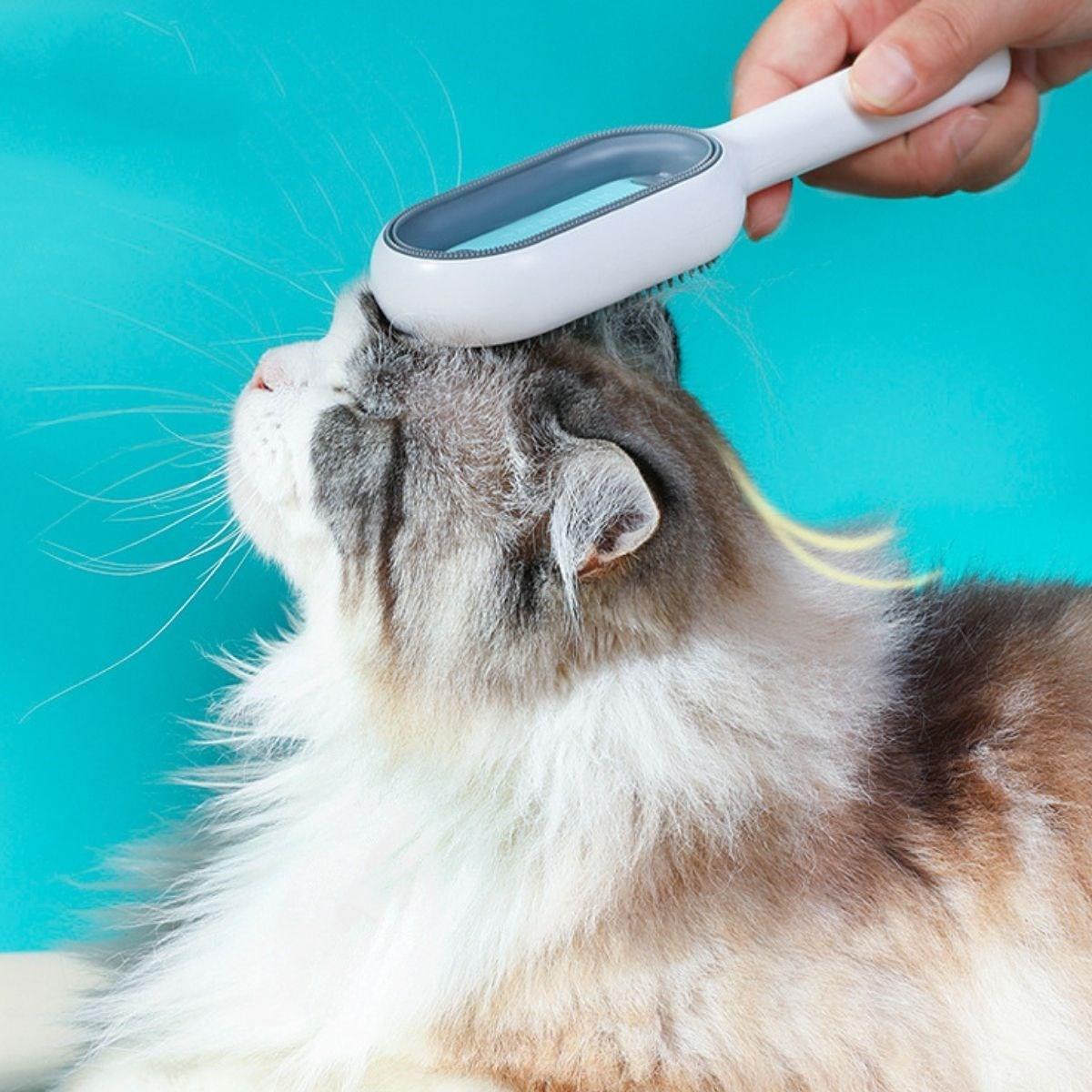 Doppelseitige Haustierbürste mit feuchtem Fellkamm (5563) #3