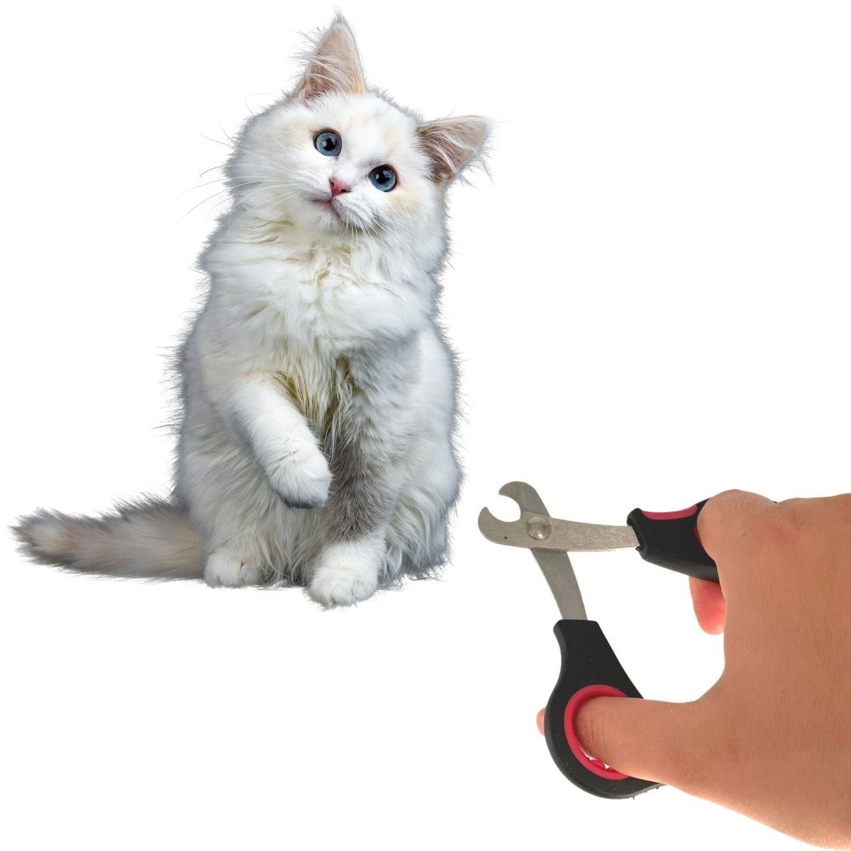 Large Breed Dog Cat Steel-Tipped Pet Nail Clippers Ergonomic (5563) #2