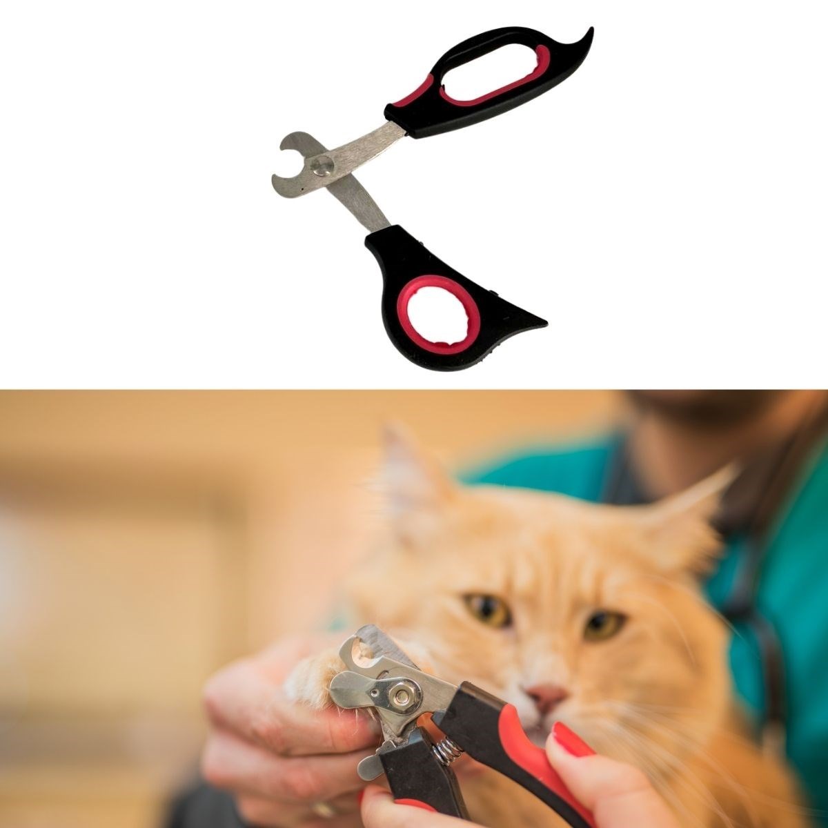 Large Breed Dog Cat Steel-Tipped Pet Nail Clippers Ergonomic (5563) #3