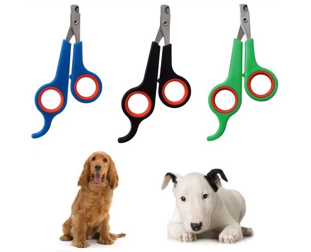 Kedi Köpek Tırnak Makası Renkli Poşetli (5563)