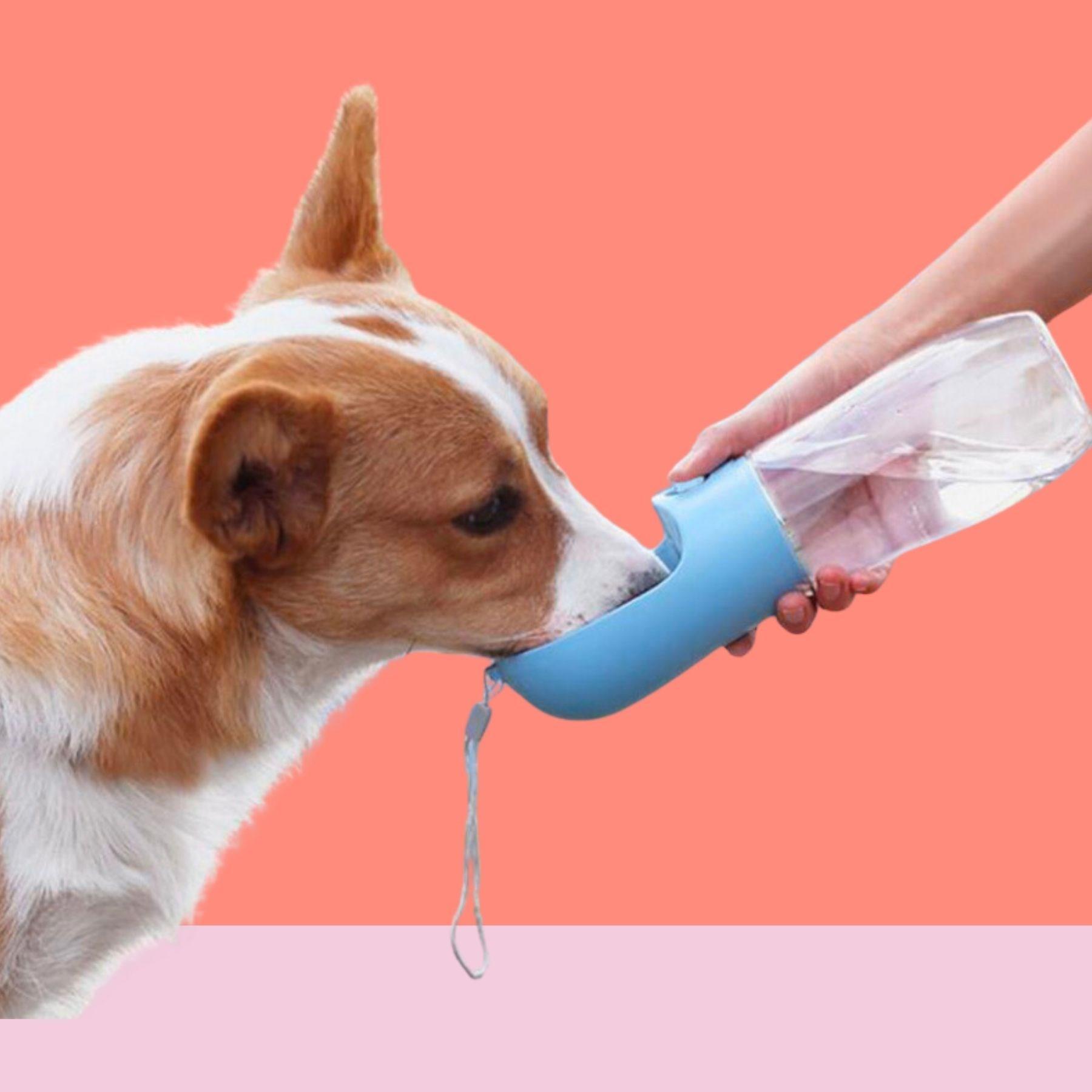 450 ml Taşınabilir Butonlu Evcil Hayvan Suluğu (5563) #2