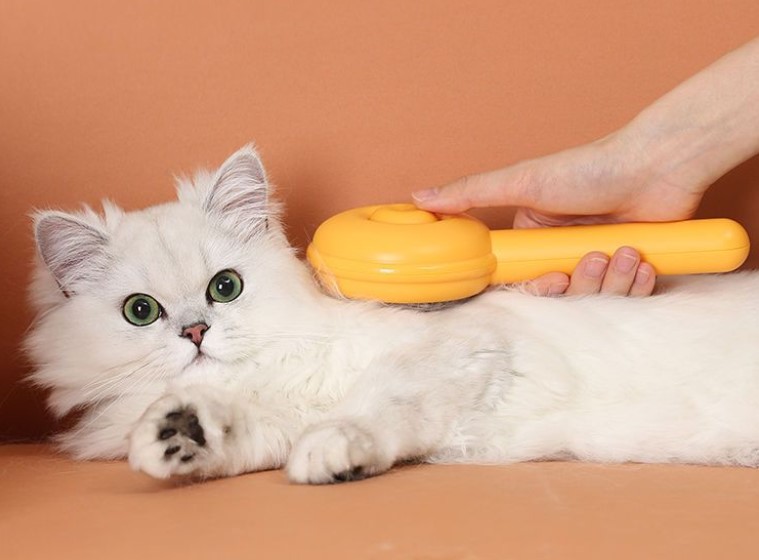 Hamburger-förmige selbstreinigende Haustierbürste (5563) #3