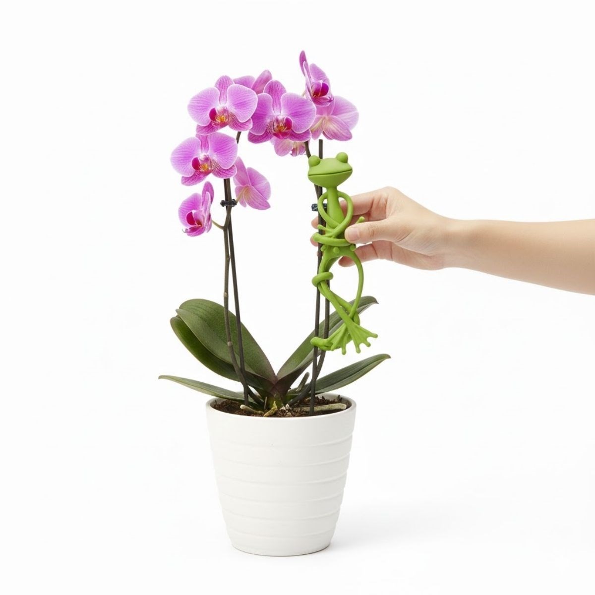 Kurbağa Şeklinde Bitki Sabitleyici – Bahçe ve İç Mekan Bitkileri İçin Dal ve Gövde Destek Aparatı, Çok Amaçlı Bitki Tutucu Klips (5563) #2