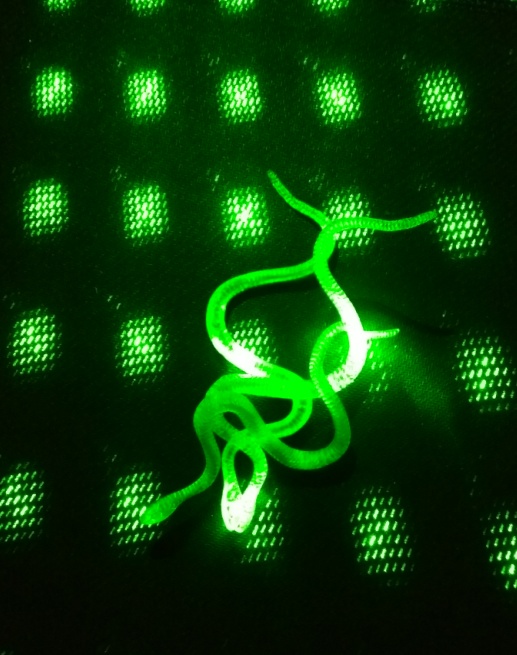 Şaka Yılan ve Kırkayak Karışık 36 Adet (5563) #3