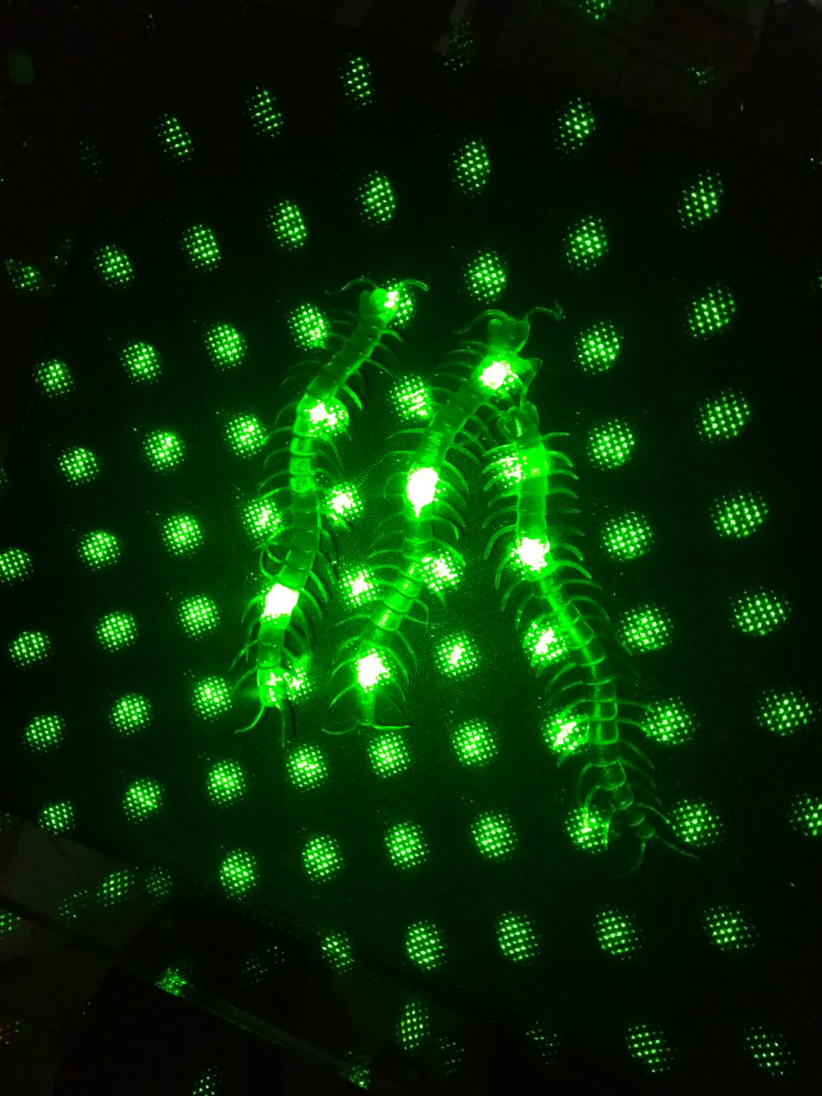 Şaka Yılan ve Kırkayak Karışık 36 Adet (5563) #4