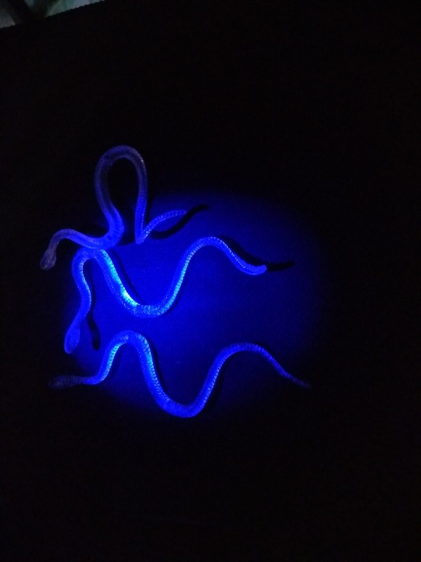 Şaka Yılan ve Kırkayak Karışık 36 Adet (5563) #5