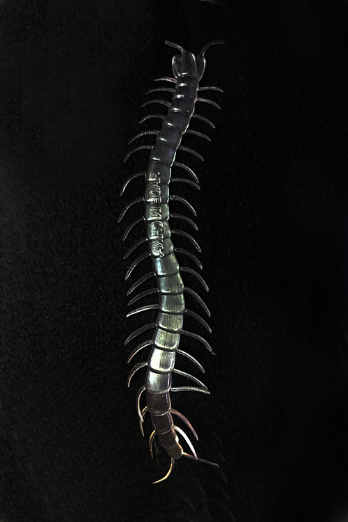 Şeffaf Renk Karanlıkta Parlayan Fosforlu Kırkayak 13 cm 1 Adet (5563) #2