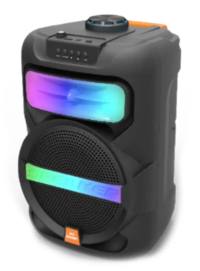 Platoon PL-4361 BT USB SD AUX 8 İNÇ Mikrofonlu Anfi Yüksek SES Taşınabilir RGB Işıklı Hoparlör (5563) #3