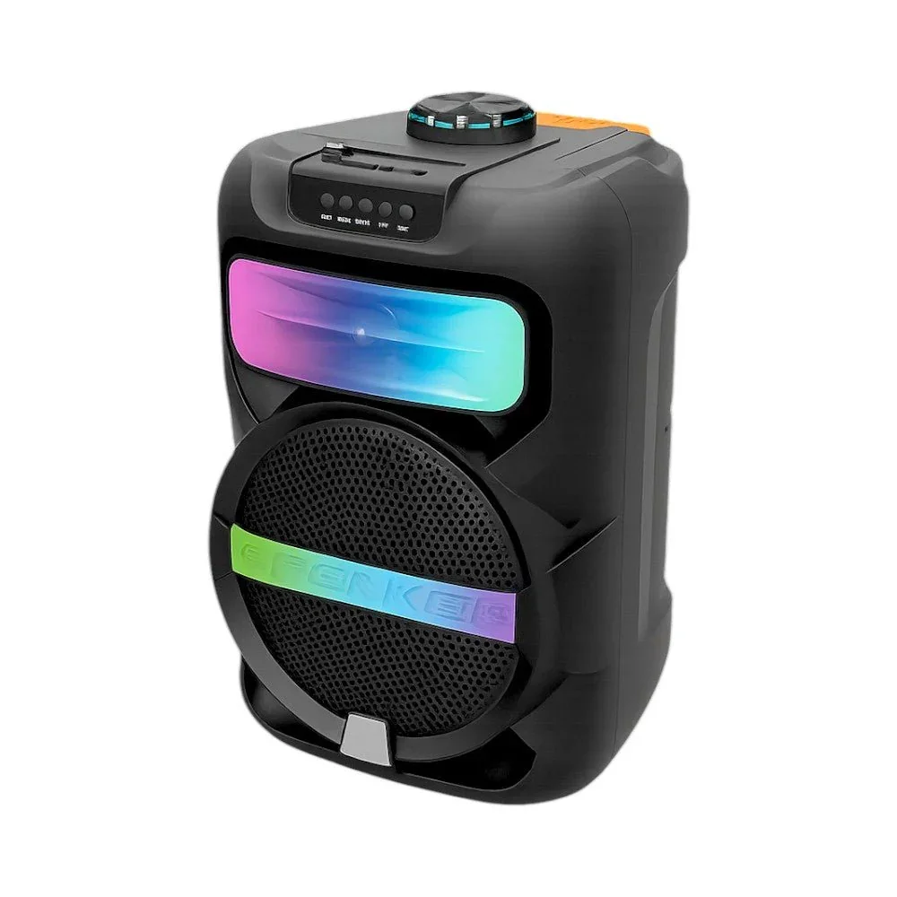 Platoon PL-4361 BT USB SD AUX 8 İNÇ Mikrofonlu Anfi Yüksek SES Taşınabilir RGB Işıklı Hoparlör (5563) #4