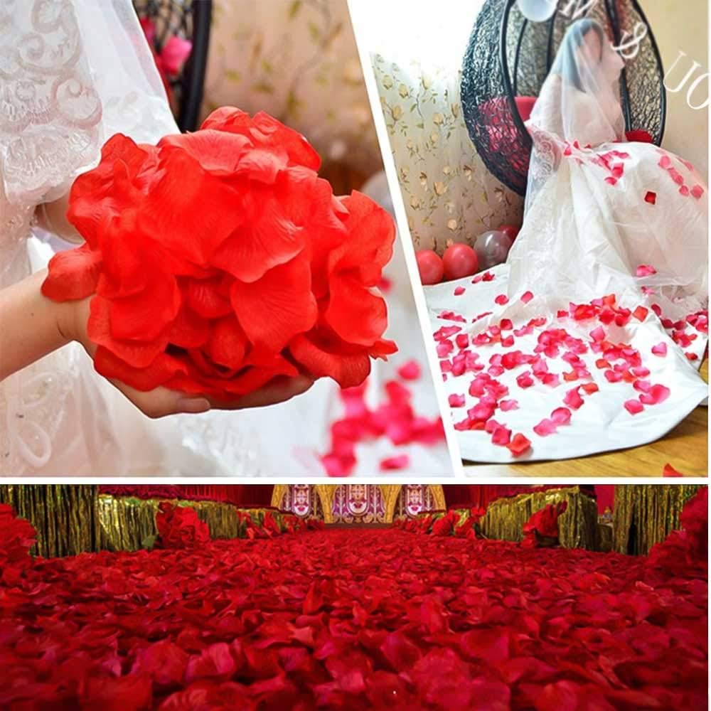 Rote Rosenblatt-Konfetti – 1 Packung 100 Stück (5563) #3