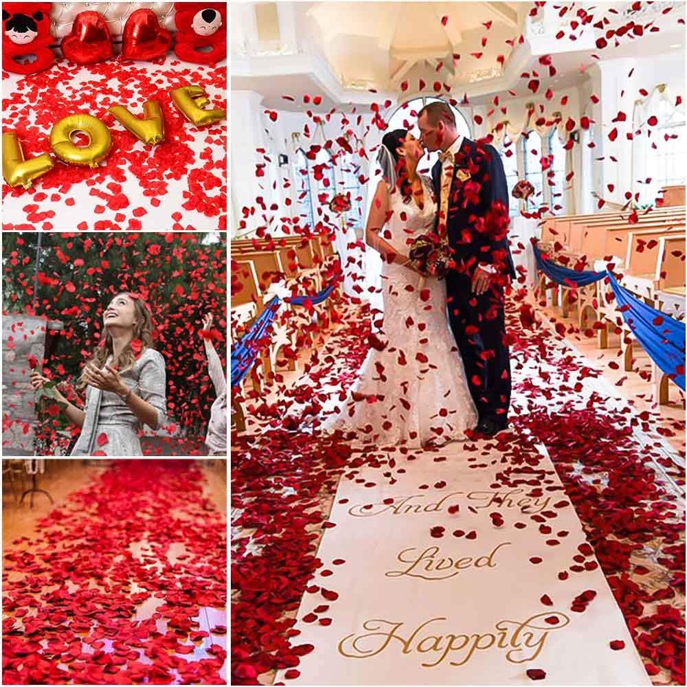 Rote Rosenblatt-Konfetti – 1 Packung 100 Stück (5563) #4