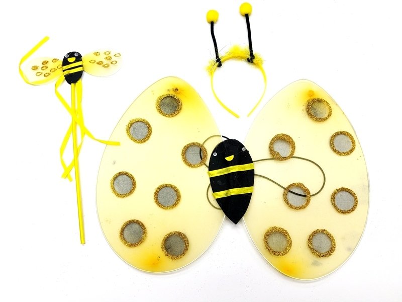 Bee Wing Set with Crown and Wand (5563) #2