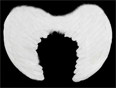 White Small Baby Angel Wings 30x45 cm (5563) #2