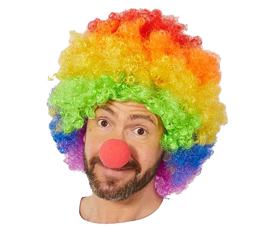 Colorful Rainbow Afro Bonus Wig & Red Sponge Nose 120g (5563