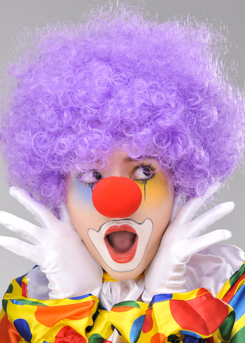 Purple Curly Afro Bonus Wig with Red Clown Nose Set (5563)