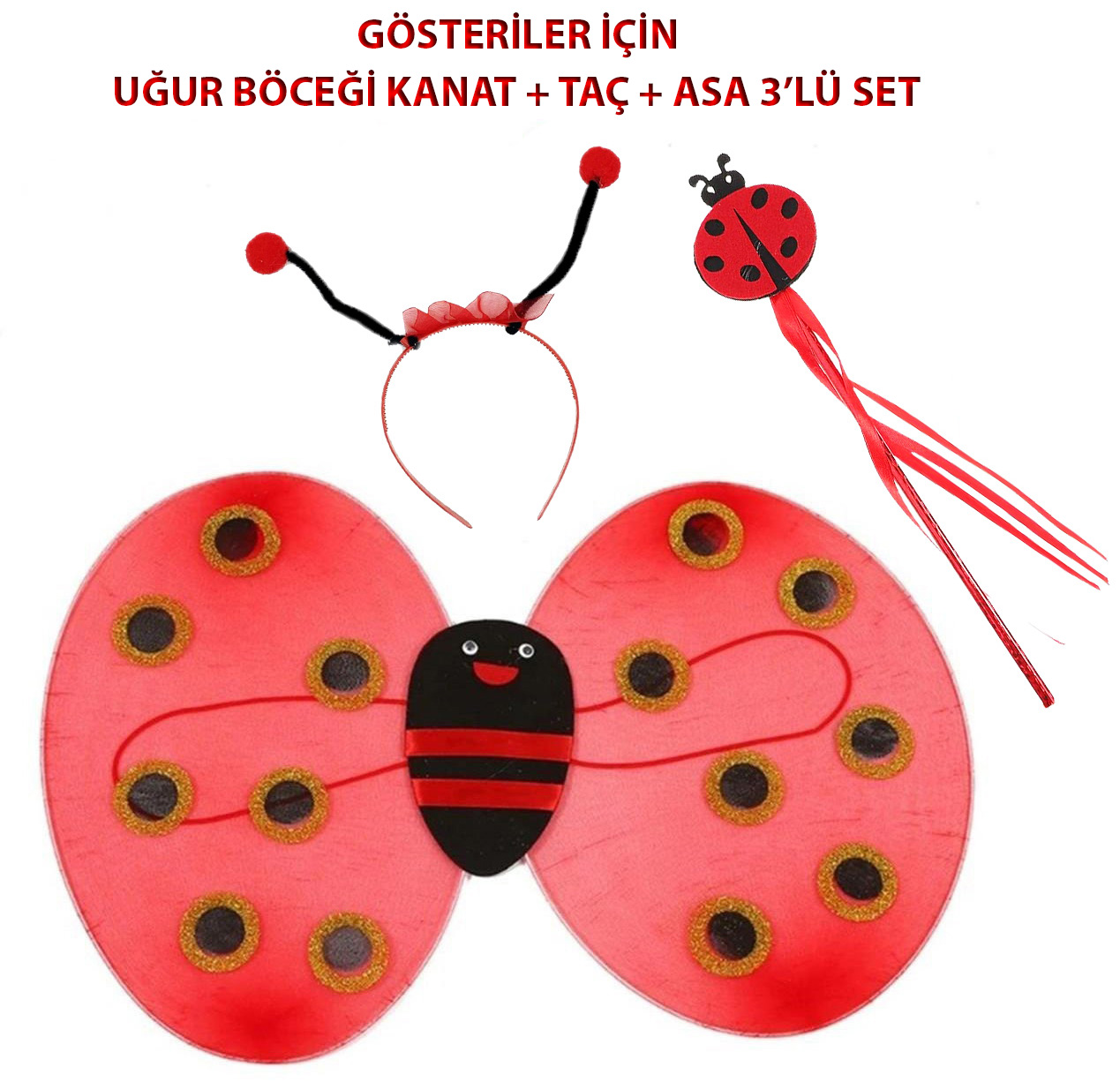 Ladybug Wings + Crown + Wand 3-Piece Costume Set for Kids (5