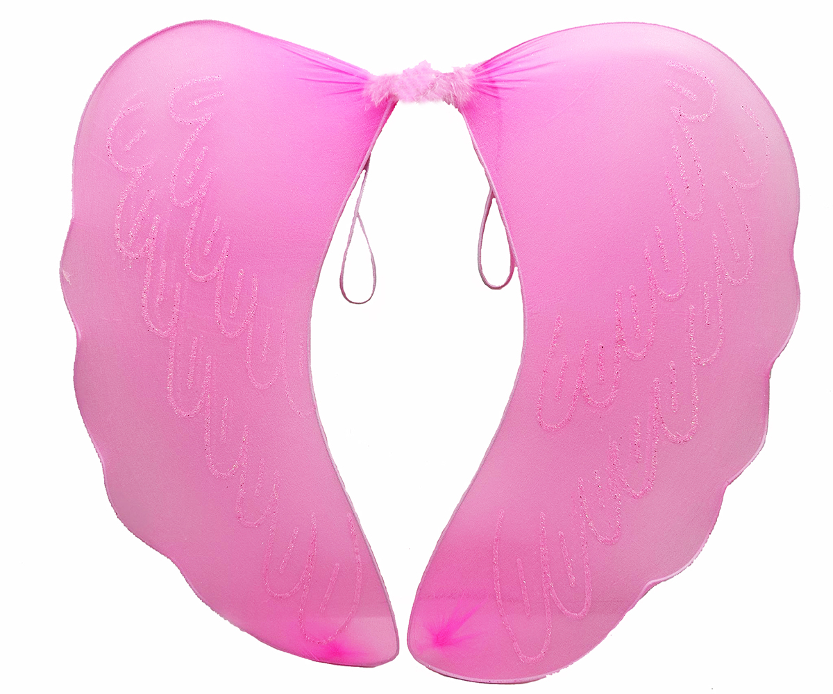 Pink Tulle Fairy Wings with Feather Details 40x50 cm (5563)