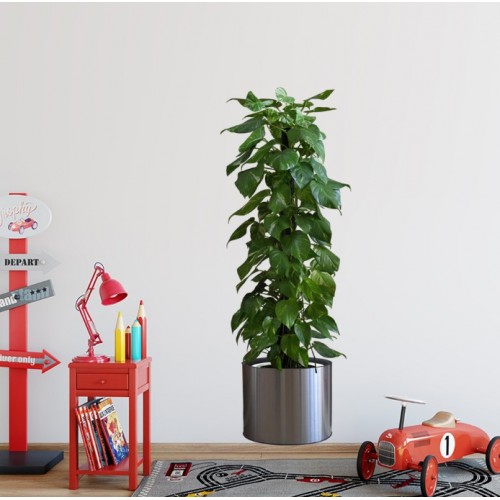 Potted Plant Design Self-Adhesive Wall Sticker 90*30 cm (556