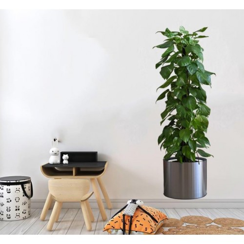 Potted Plant Design Self-Adhesive Wall Sticker 90*30 cm (5563) #3