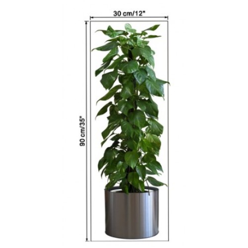 Potted Plant Design Self-Adhesive Wall Sticker 90*30 cm (5563) #4