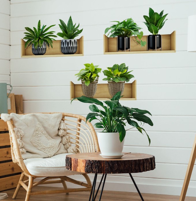 Shelved Plant Design Self-Adhesive Sticker 20*30 cm 3-Pack (5563) #2