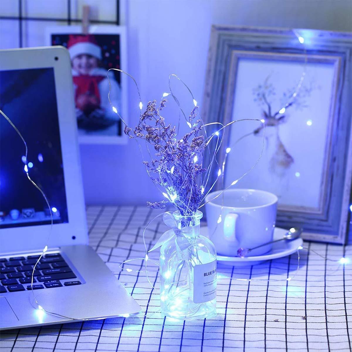 Battery-Powered 5M White Decorative Fairy LED String Lights