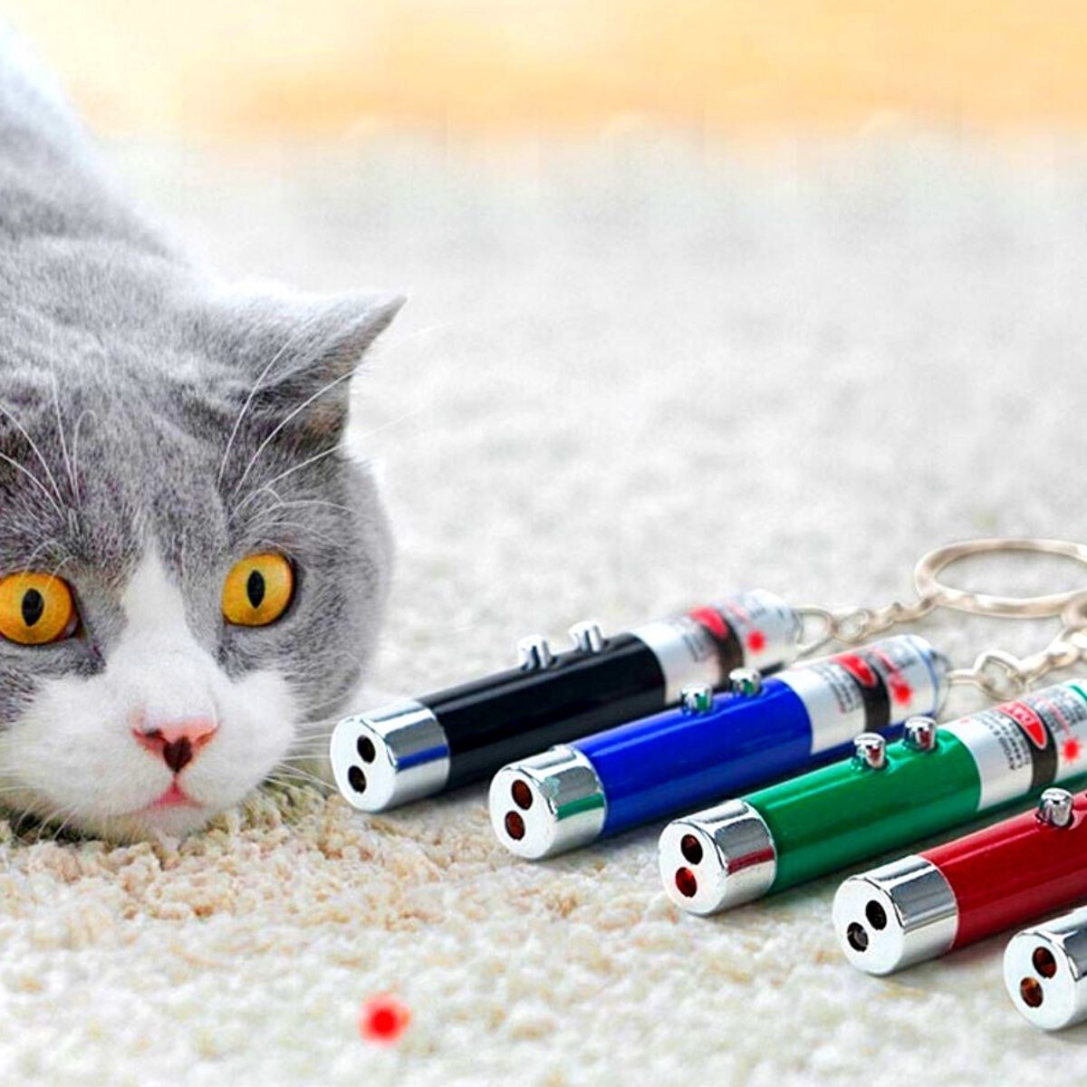 3-Function Red White LED Laser Cat Dog Toy Keychain (5563)